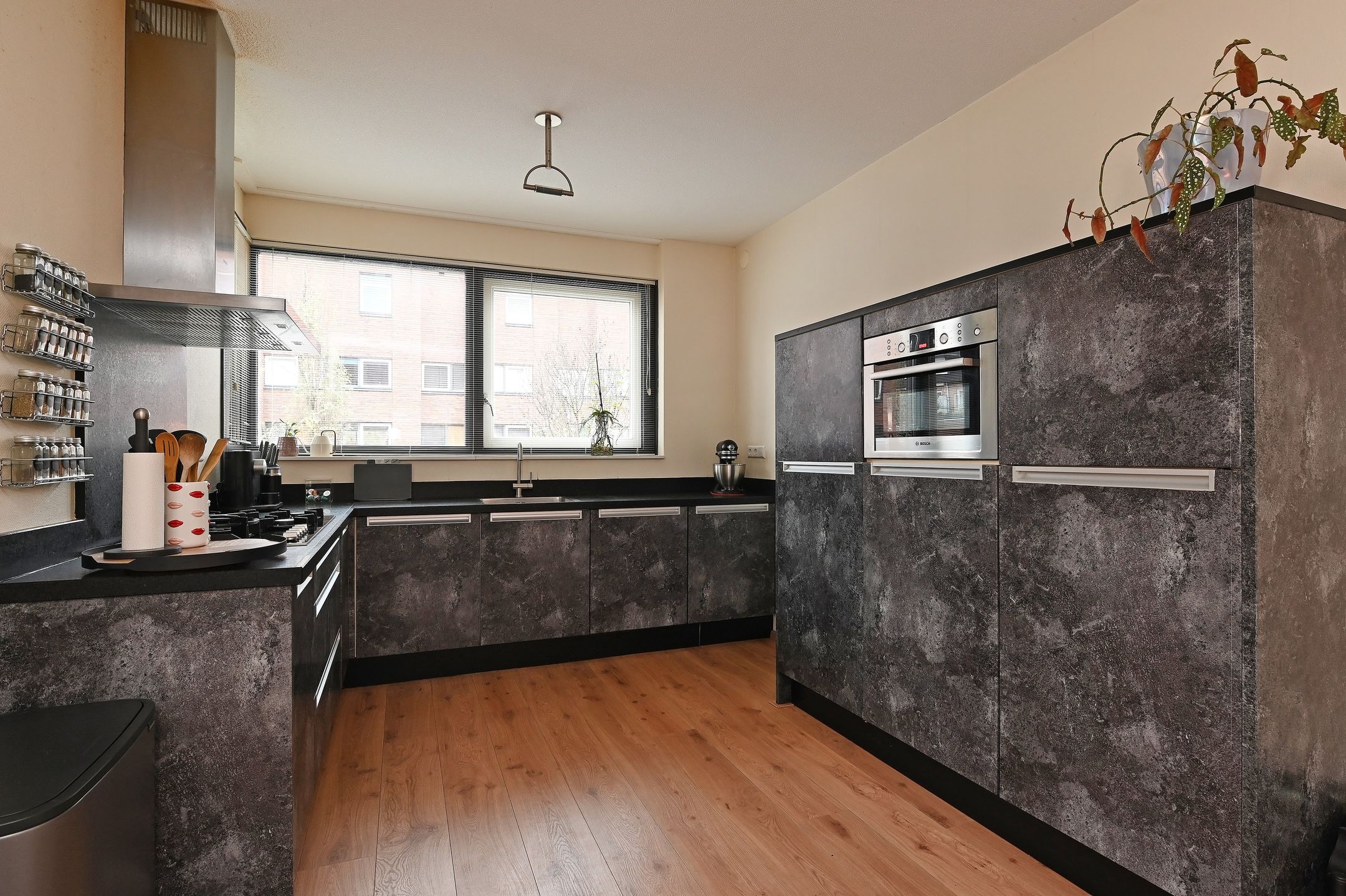 Photo 12 of Juttepeer 72