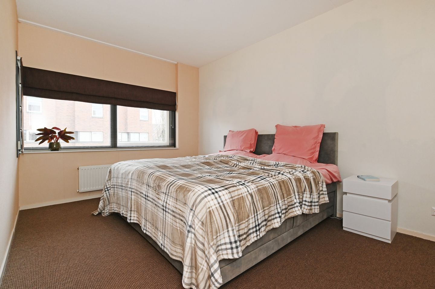 Photo 20 of Juttepeer 72