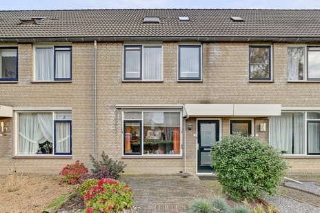 undefined main image