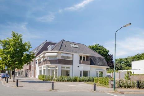 Koninginnelaan thumbnail