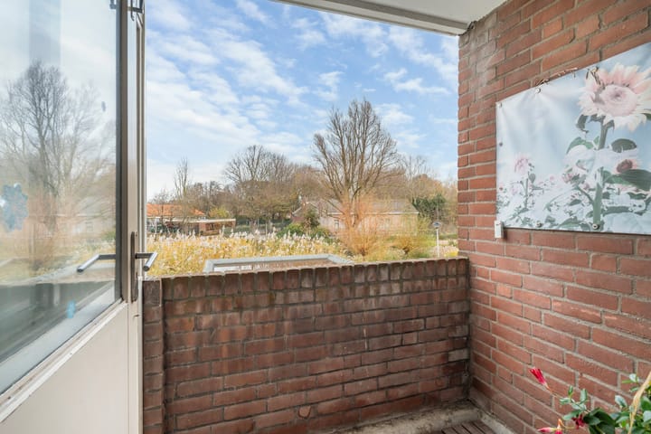 Foto 16 van Venus 16