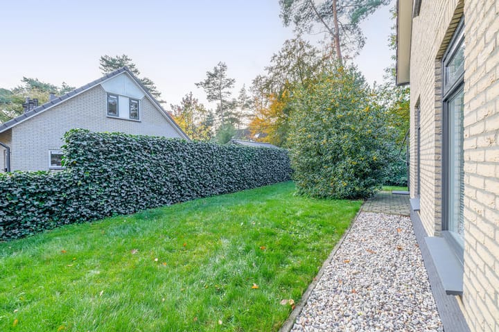 Photo 11 of Paaslohof 39