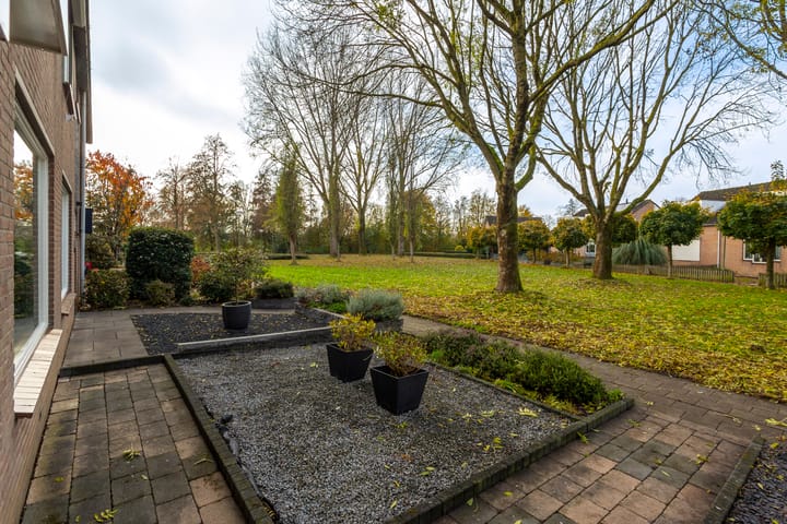 Photo 8 of Weegbree 20