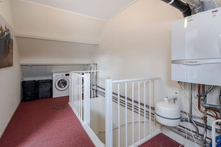 Photo 28 of Weegbree 20