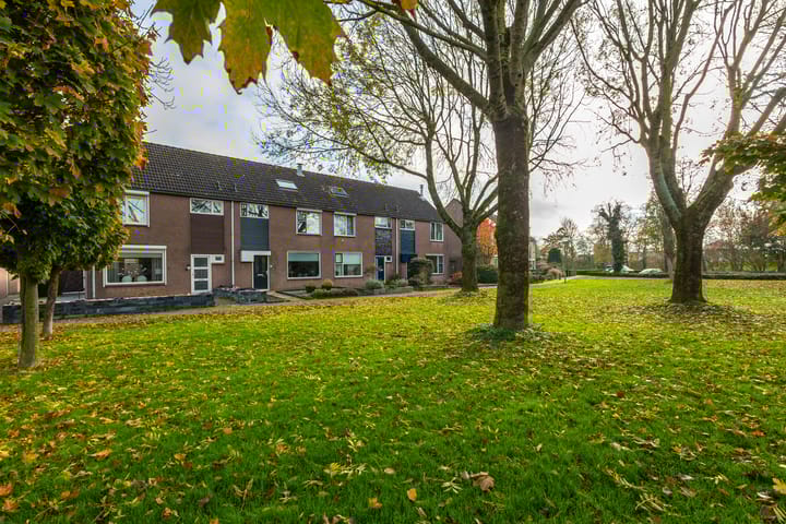 Photo 36 of Weegbree 20