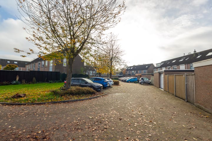 Photo 37 of Weegbree 20