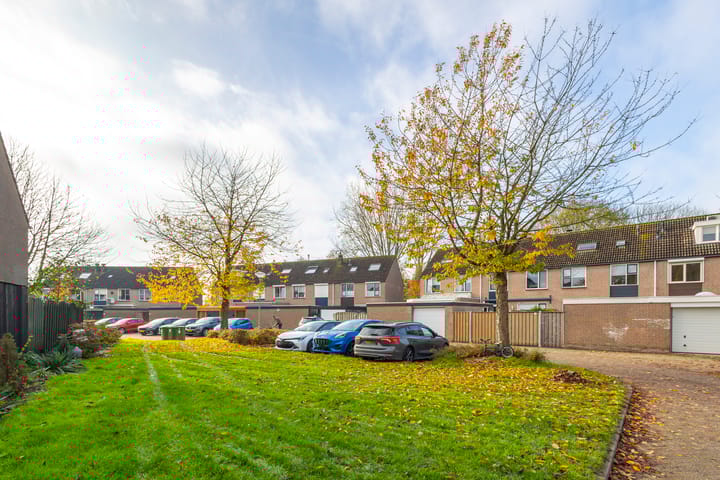 Photo 38 of Weegbree 20