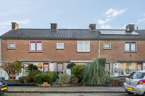 undefined main image