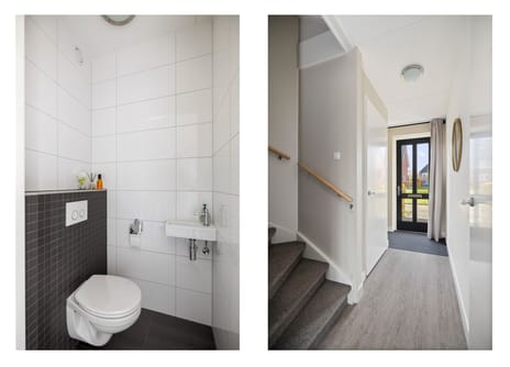 Sleutelbloem 24 tertiary image