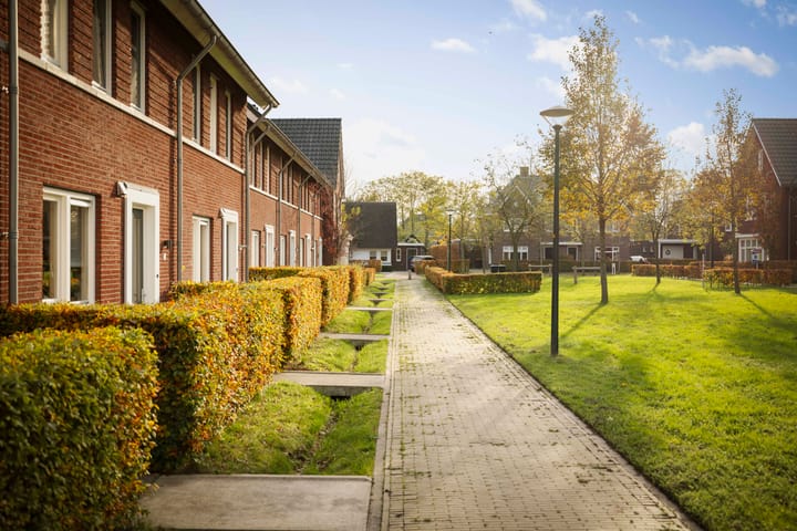 Photo 29 of Sleutelbloem 24