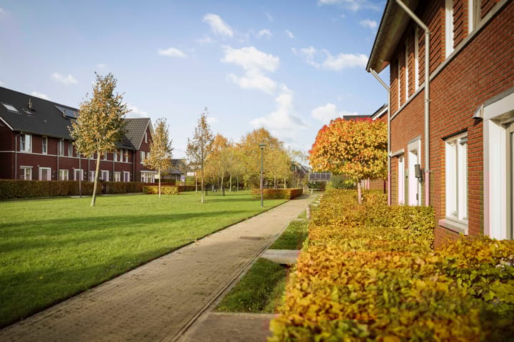 Photo 30 of Sleutelbloem 24