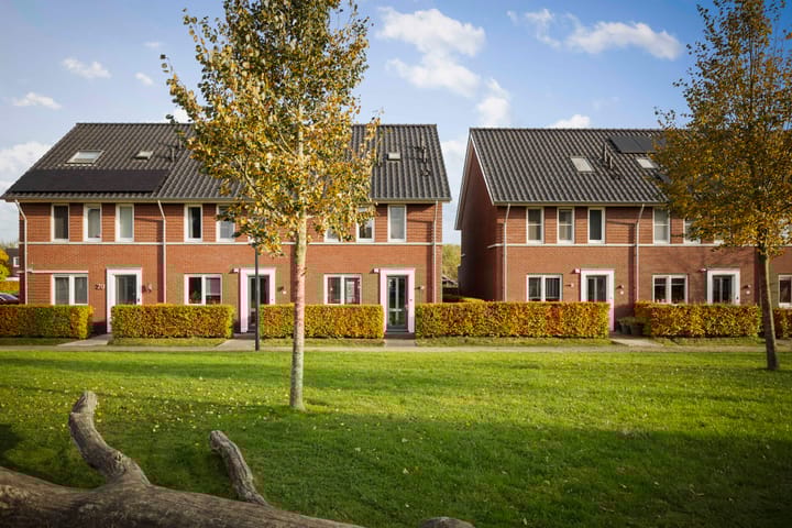 Photo 31 of Sleutelbloem 24