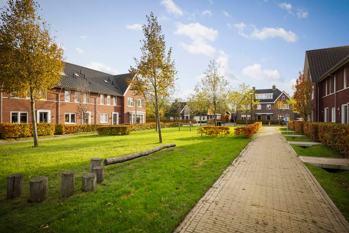 Photo 32 of Sleutelbloem 24