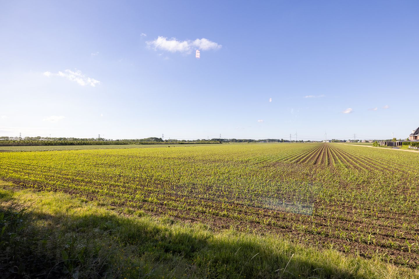 Photo 50 of Raadhuislaan 22