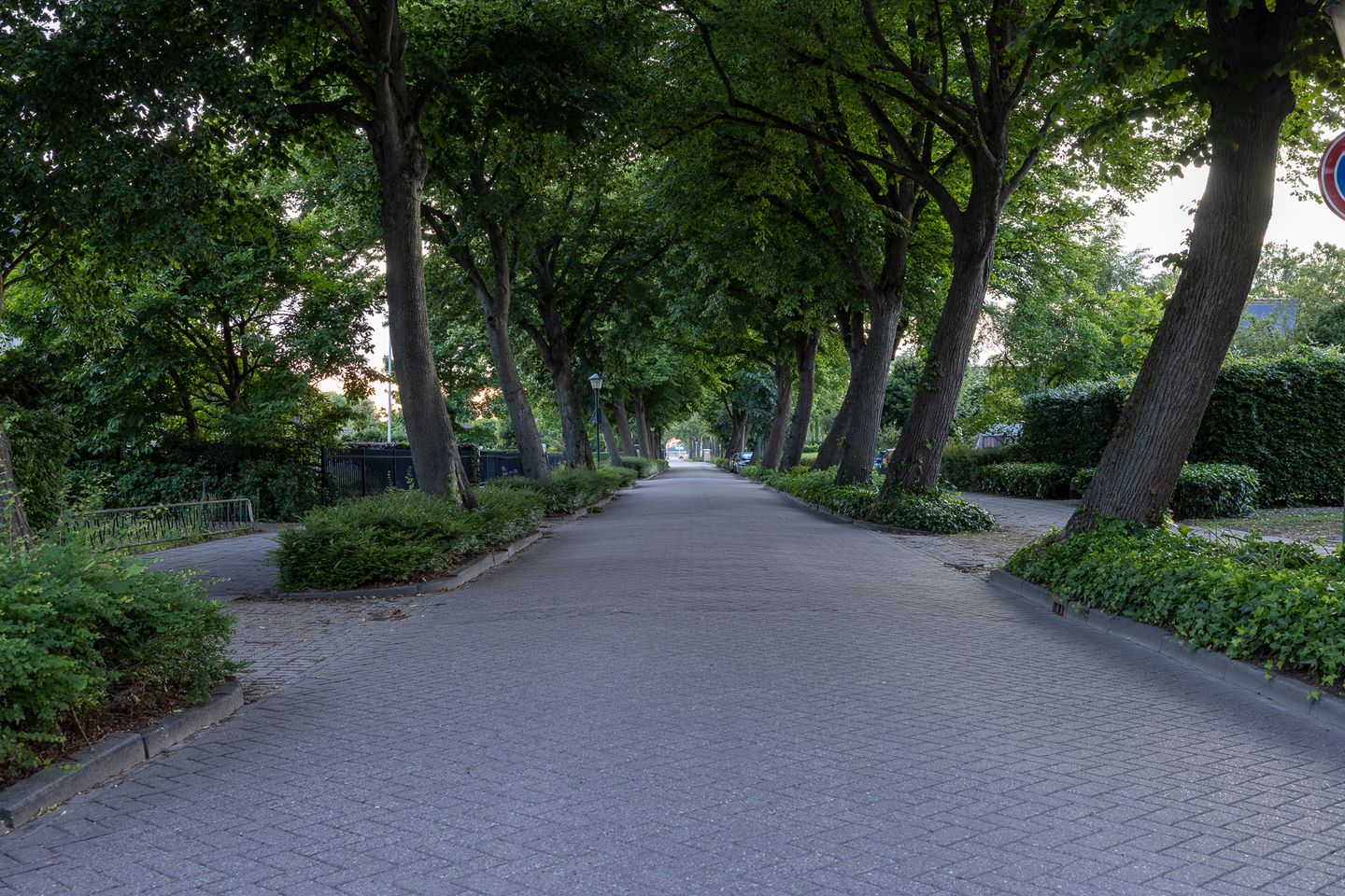 Photo 70 of Raadhuislaan 22