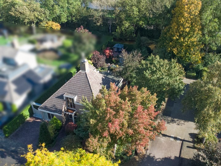 Photo 5 of Leeuwerik 13