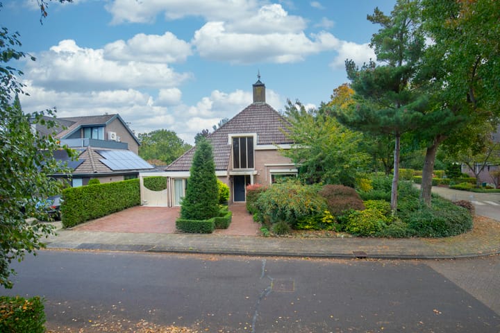 Photo 8 of Leeuwerik 13