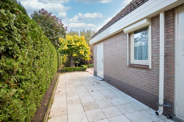 Photo 30 of Leeuwerik 13