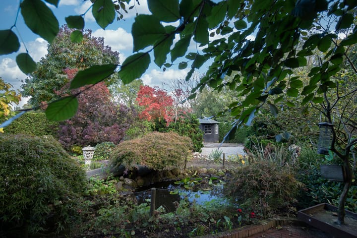 Photo 33 of Leeuwerik 13