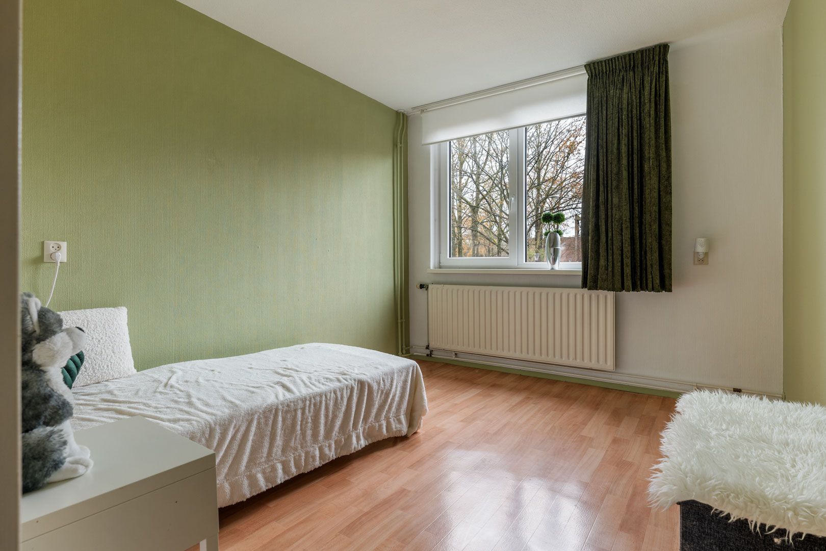 Foto 21 van Ds. van Petegemstraat 32