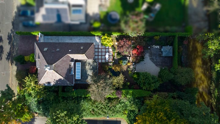 Photo 40 of Leeuwerik 13