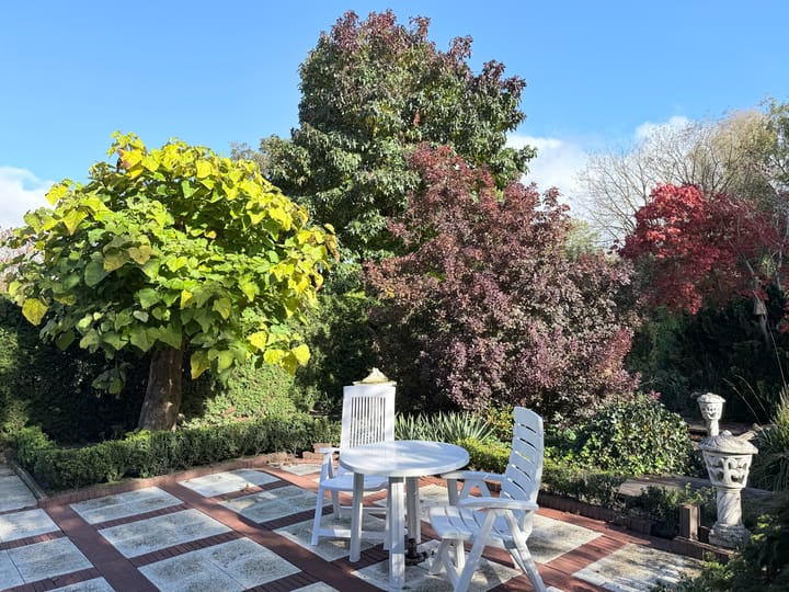 Photo 44 of Leeuwerik 13