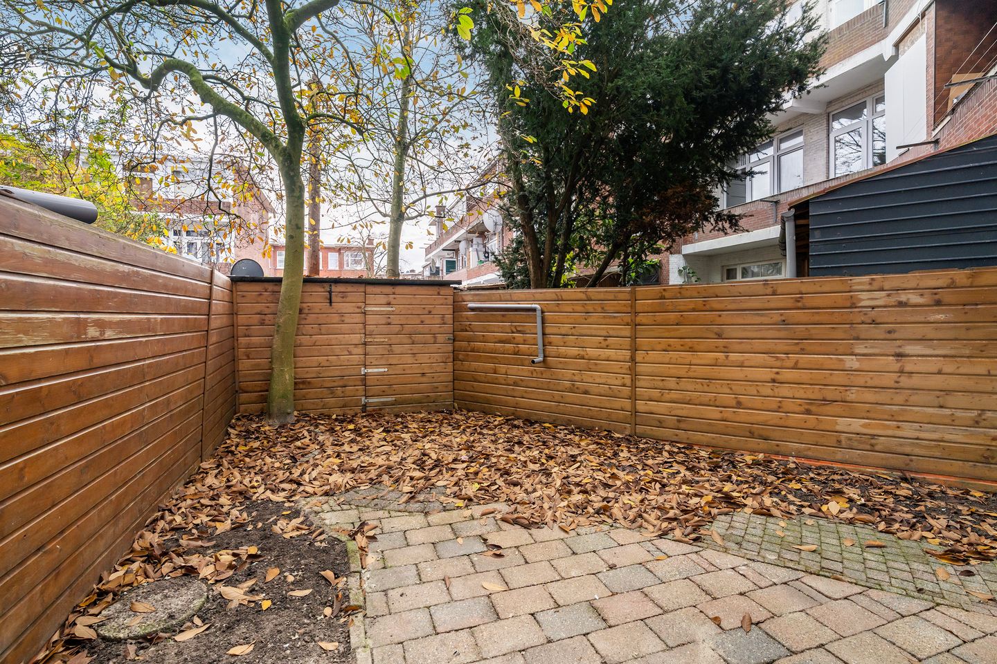 Foto 4 van Velpsestraat 162