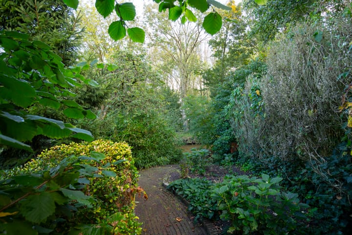 Photo 36 of Leeuwerik 13