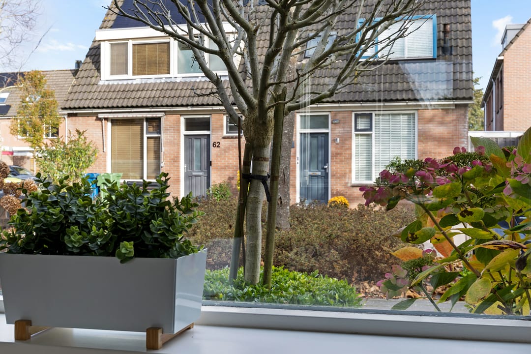 Foto 8 van Hovenierstraat 73