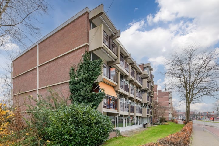 Photo 25 of Pascalerf 54