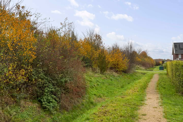 Photo 35 of Bonenakker 46