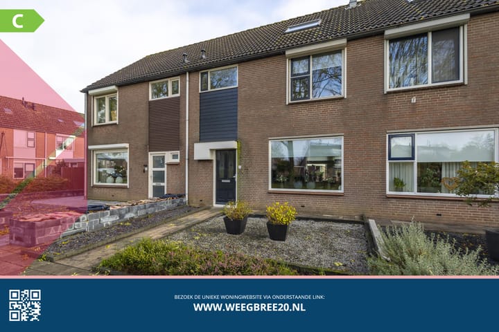 Photo 5 of Weegbree 20