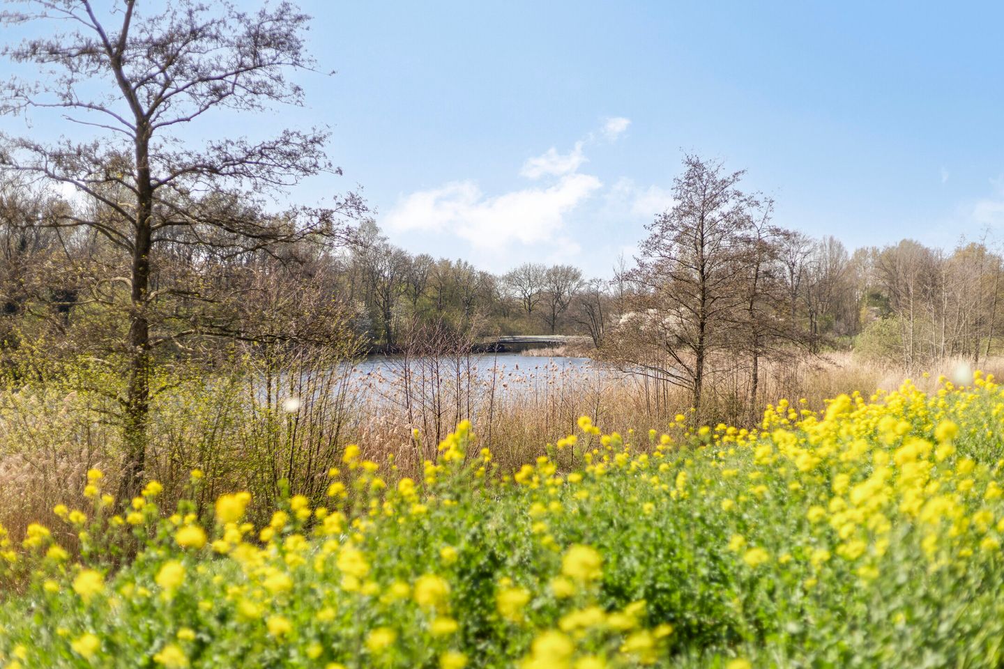 Foto 25 van Vergiliuslaan 64