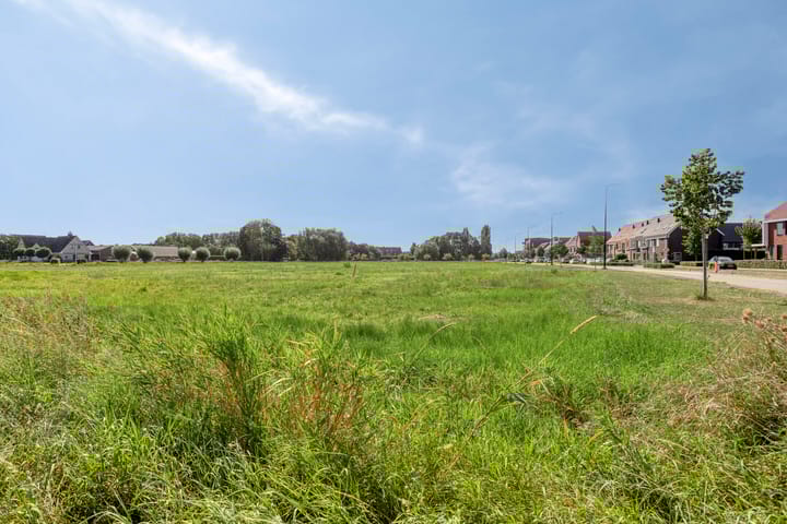 Photo 48 of Kantonnier 9