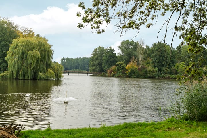 Photo 47 of Lekstraat 45