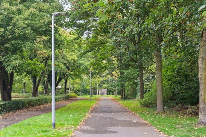 Photo 50 of Lekstraat 45