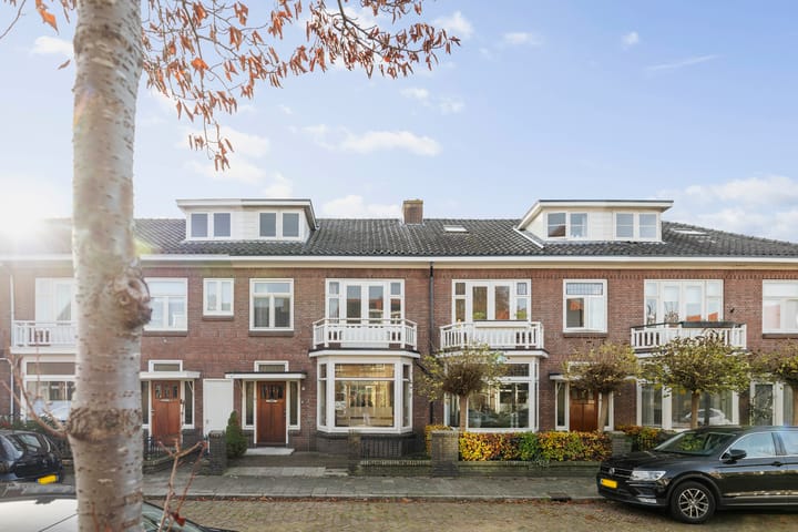 Foto 40 van Johannes Sinthenstraat 7