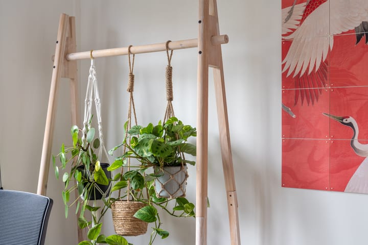 Foto 34 van Peppelenwei 57