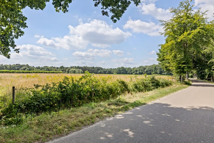 Photo 45 of de Loo 120