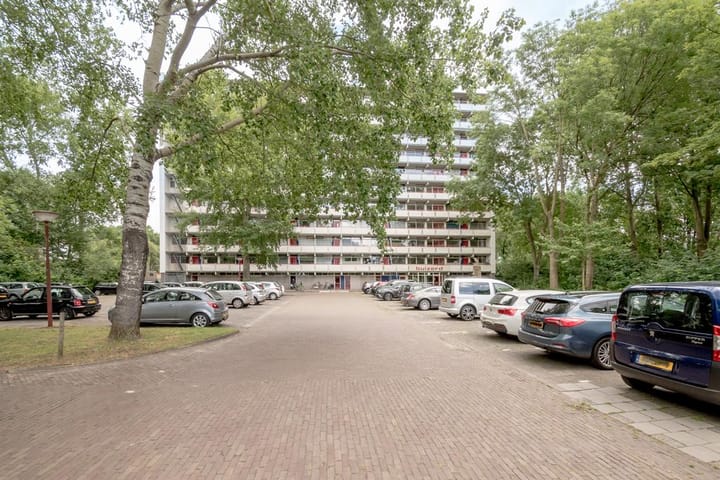 Foto 5 van Buizerd 74
