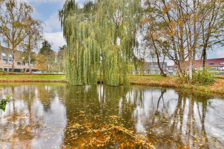 Foto 31 van Acaciadreef 34