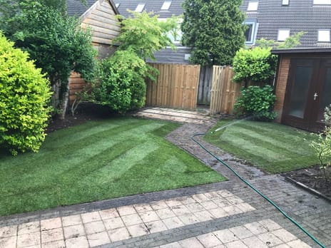 undefined main image