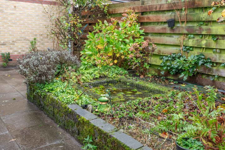 Photo 38 of Haagwinde 34