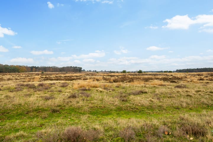 Photo 4 of Schotkampweg 161