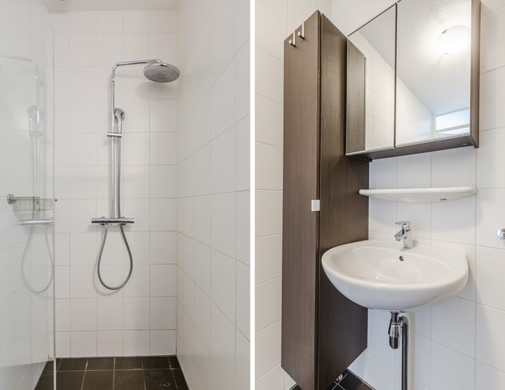 Photo 4 of Sint Janskruidlaan 170