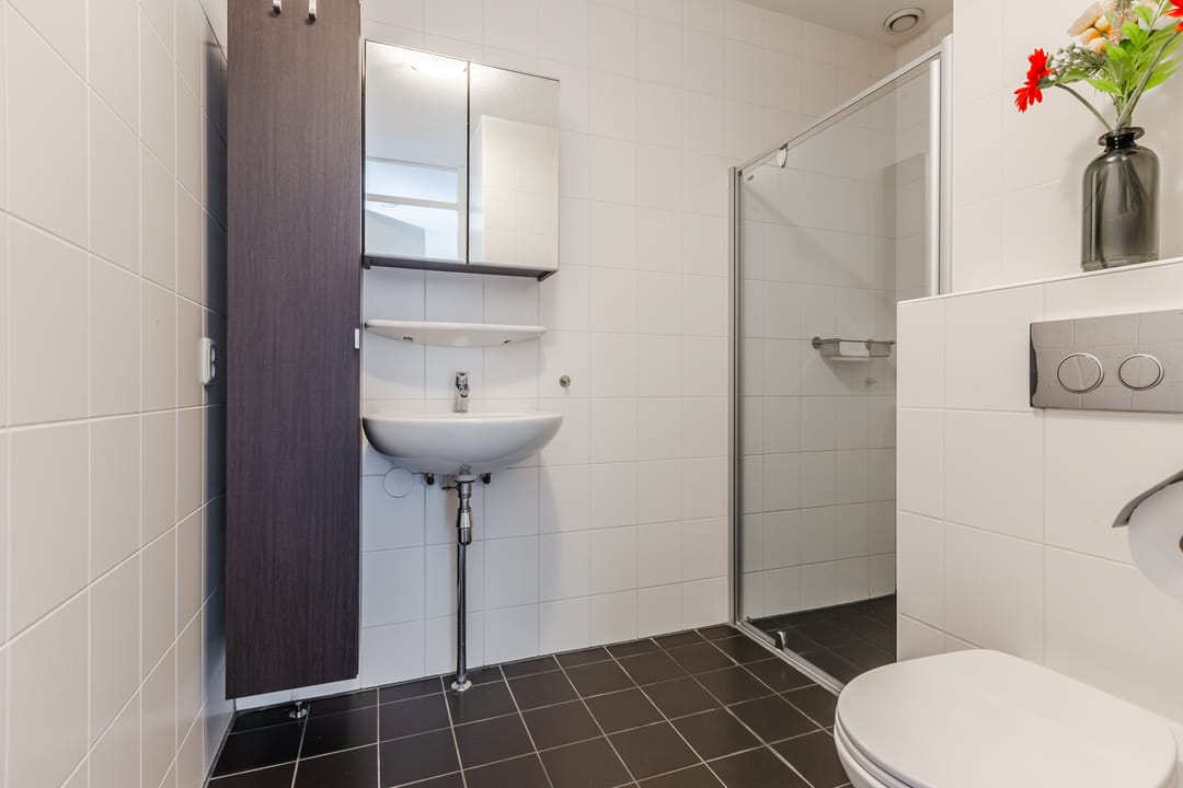 Foto 17 van Sint Janskruidlaan 170