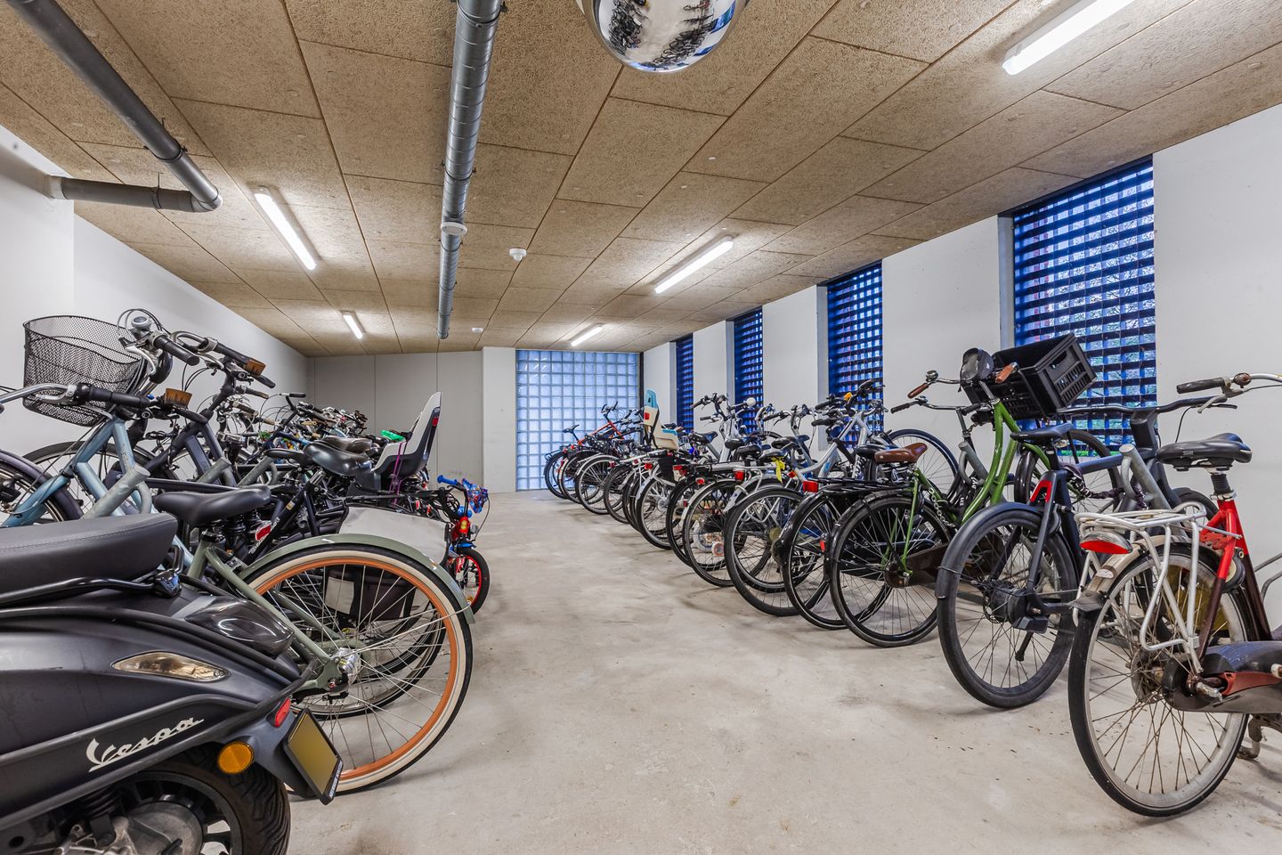 Foto 25 van Sint Janskruidlaan 170