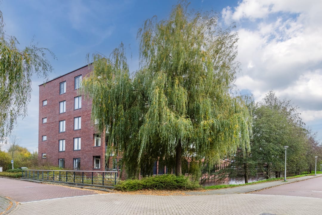 Foto 31 van Sint Janskruidlaan 170