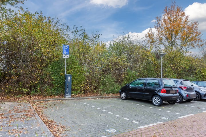 Foto 36 van Sint Janskruidlaan 170