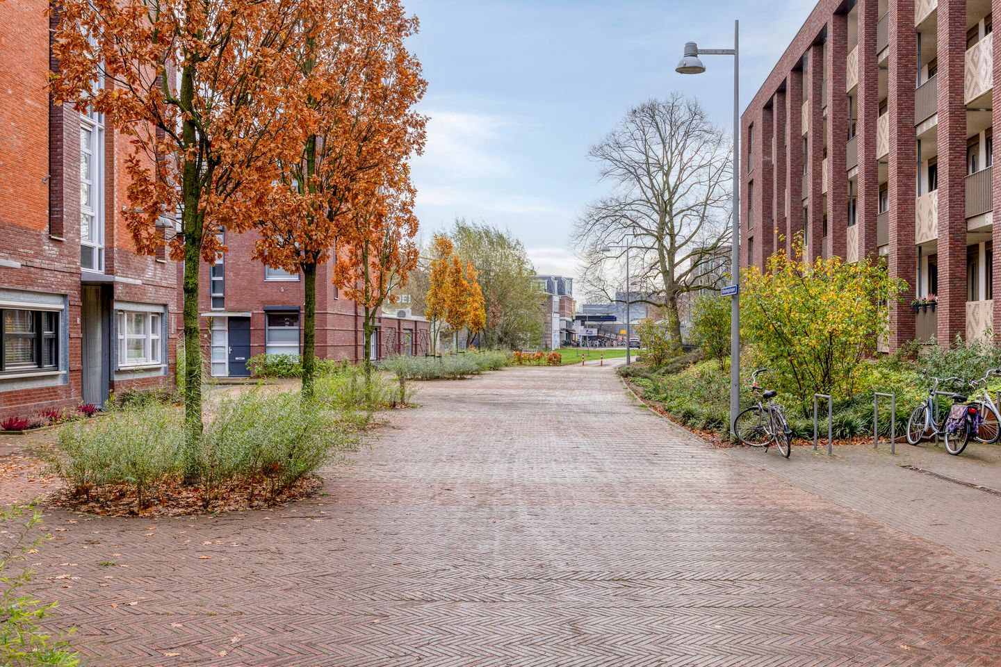 Photo 35 of Koningsloper 20